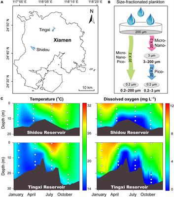 Does filter pore size introduce bias in DNA sequence-based plankton community studies?